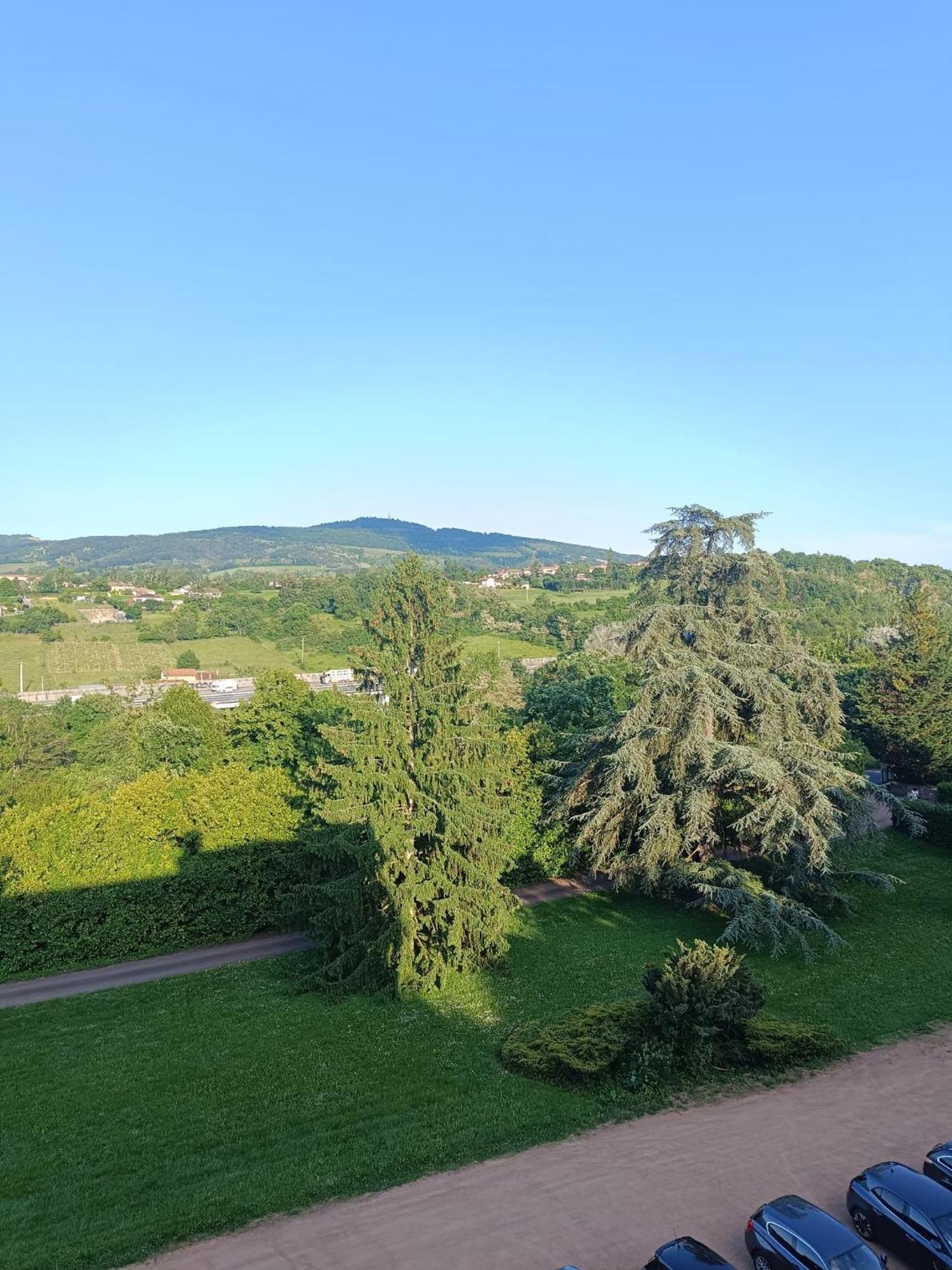 Sejourner Au Chateau De La Roue Grand Appartement Lissieu المظهر الخارجي الصورة
