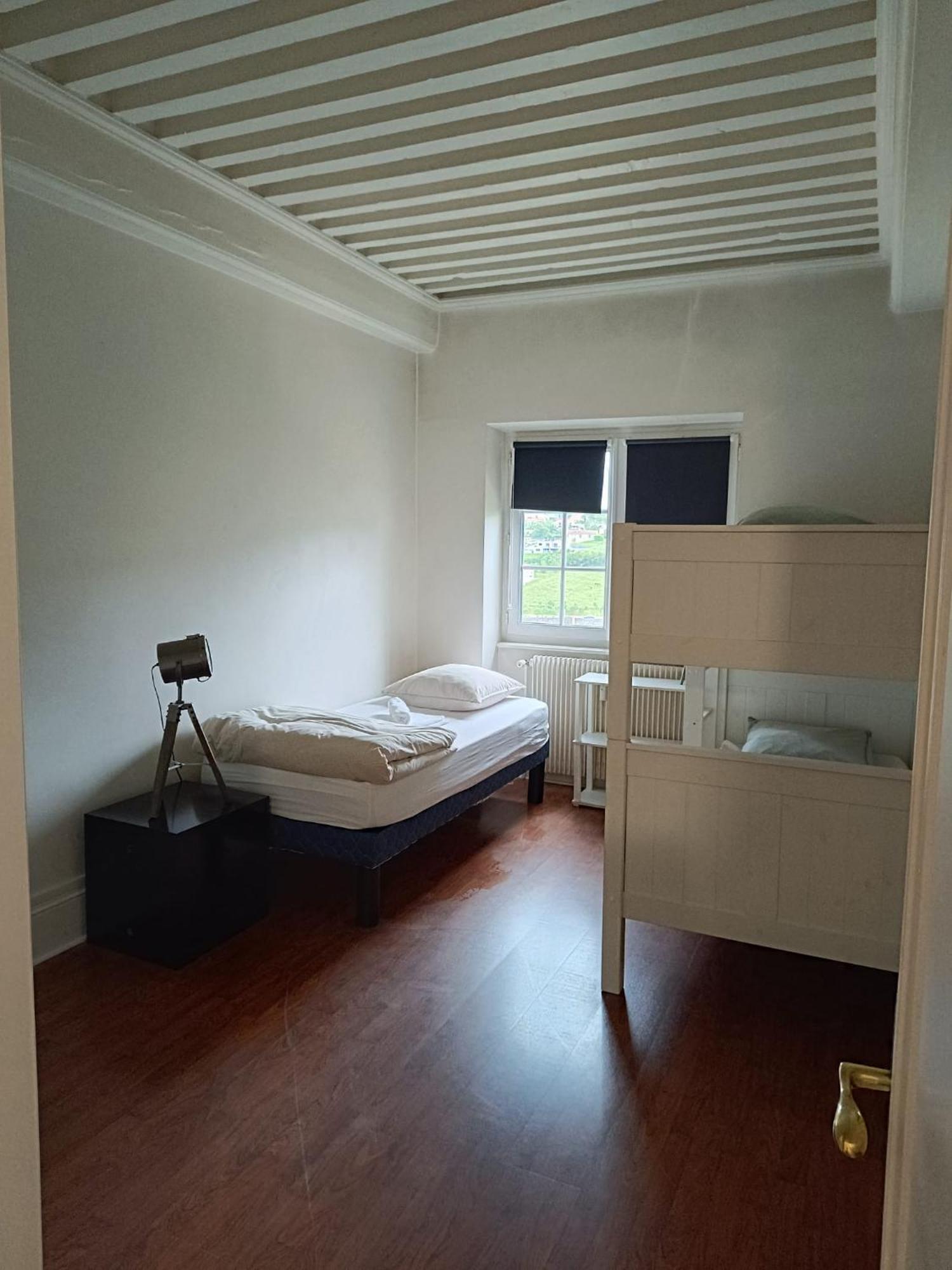 Sejourner Au Chateau De La Roue Grand Appartement Lissieu المظهر الخارجي الصورة